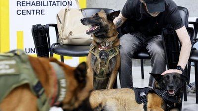 У Львові понад 120 охочих долучилися до програми підготовки собак-терапевтів