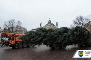 Головну ялинку Львова демонтують наступного тижня