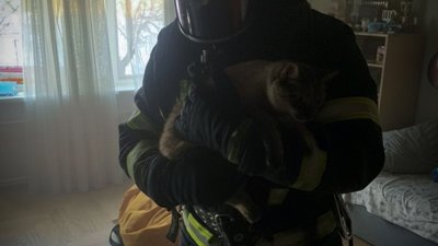 У Львові горіла квартира в багатоповерхівці (ФОТО)