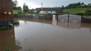 На Тернопільщині негода змивала городину і руйнувала паркани (фото, відео)