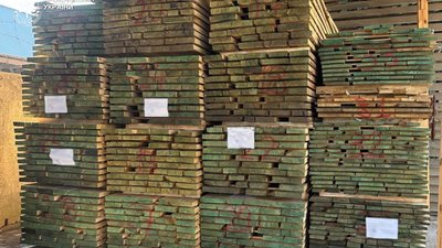 На Львівщині судитимуть підпиємця, який незаконно вивозив лісопродукцію за кордон
