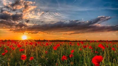Якою буде погода у Львові та області завтра, 25 серпня