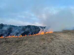 У Львівській області за минулу добу ліквідували 87 пожеж сухостою (фото)