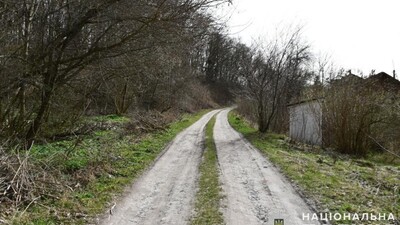 На Тернопільщині чоловік у лісі зґвалтував і пограбував жінку