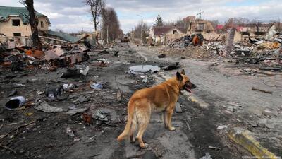 Нацполіція встановила двох офіцерів рф, які вбили мешканця Бучі у 2022 році