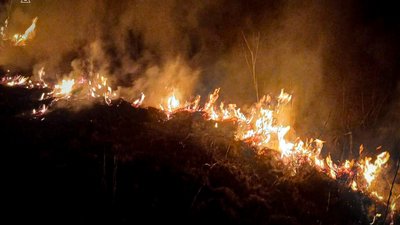 На Львівщині за добу рятувальники ліквідували 18 загорянь сухої трави (ФОТО)