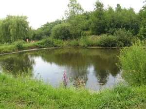 Орендоване на Львівщині водоймище повернули у власність держави, — прокуратура