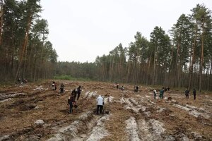 На Львівщині працівники ЛОДА висадили майже 7 тисяч дерев (фото)