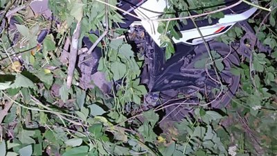 Обидва в'їхали у дерево: у ДТП на Львівщині загинули два мотоциклісти (ФОТО)