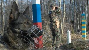 Словацька поліцейська собака покусала "м’яке місце" українського контрабандиста