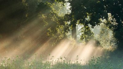 Якою буде погода у Львові та області завтра, 2 серпня