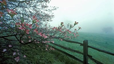 Якою буде погода у Львові та області завтра, 21 березня