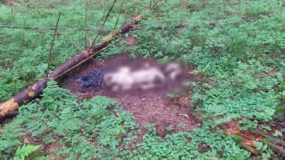 Поліція ідентифікувала чоловіка, скелет якого знайшли у Карпатах – це львів’янин 1996 року народження