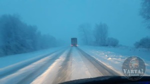 На Львівщині через сильний снігопад машини зупиняються по узбіччях (фото, відео)