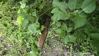 На Київщині чоловік сокирою побив свою сестру