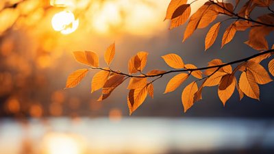 Якою буде погода у Львові та області завтра, 23 вересня