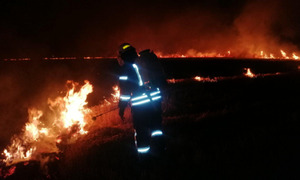 Ігнорують війну і світломаскування: на Львівщині активізувалися палії сухостою