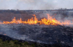 За одну добу у Львові загасили 60 пожеж сухостою