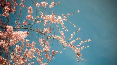 Якою буде погода у Львові та області завтра, 17 березня