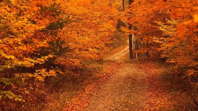 Якою буде погода у Львові та області завтра, 16 листопада