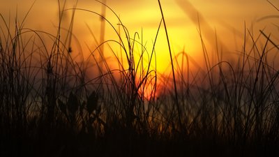 Якою буде погода у Львові та області завтра, 28 червня