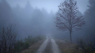 Якою буде погода у Львові та області завтра, 4 березня