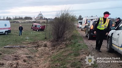На Львівщині перекинувся автомобіль