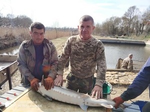 Розстрілювали осетрів: російські війська знищили садибу «Рибацький хутір» на Херсонщині