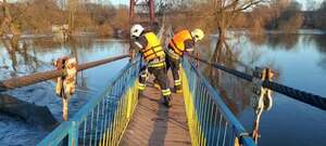 На Львівщині на підвісний міст впало дерево