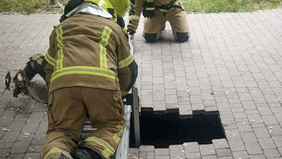 В Одесі 10-річна дівчинка провалилася під тротуарну плитку (ФОТО, ВІДЕО)