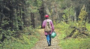 У Львівській області другу добу шукають безвісти зниклого чоловіка