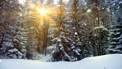 Якою буде погода у Львові та області завтра, 9 лютого