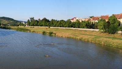 На Закарпатті водолази шукають у гірській річці тіло людини, яка зникла на початку травня