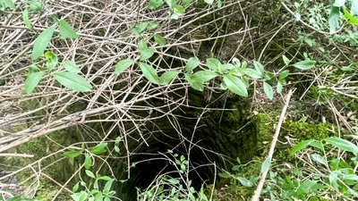 Житель Рівненщини, якого розшукували як зниклого безвісти, загинув жахливою смертю (ФОТО)