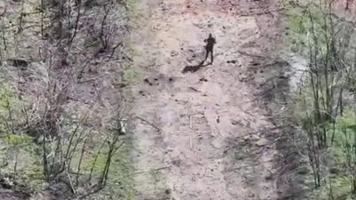 Під час Великоднього перемирʼя росіяни помилково убили своїх ж військових