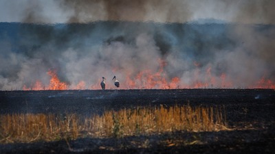 На Львівщині ліквідовано пожежу на площі 20 000 кв.м.