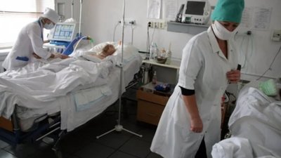 На Львівщині змії покусали трьох людей