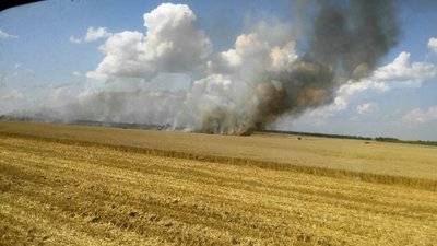 Росія знищує українське сільське господарство та природу України