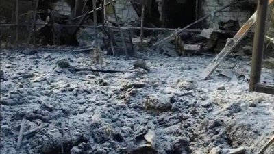 На Харківщині внаслідок російського удару загинули тварини екопарку