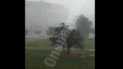 У Києві вирує сильна негода (ВІДЕО)