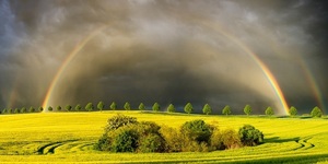 На вихідні очікуються погодні зміни, — синоптики