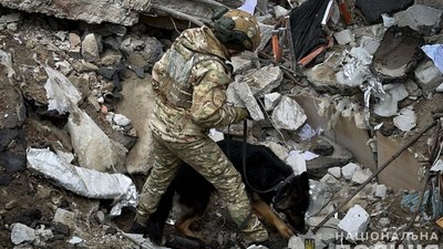 У Нацполіції розповіли, як собаки допомагають після обстрілів знаходити людей (ФОТО)