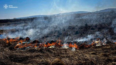 119 пожеж за добу: на Львівщині масово горить сухостій, нищиться майно та будинки