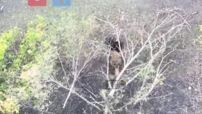 росіяни через газову трубу заходять у Куп'янськ, - Deep State