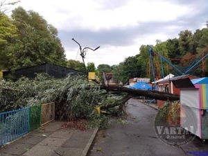 Наслідки ранкової негоди у Львові (ФОТО)