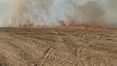 На Львівщині чоловік ледь не загинув під час пожежі сухостою