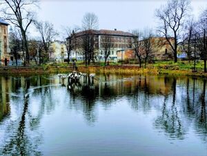 У Дрогобичі в озері Парку культури та відпочинку виявили тіло