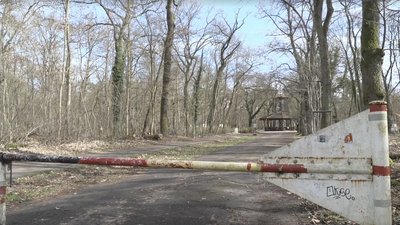 У лісі в Німеччині знайшли вбитою 19-річну українську біженку