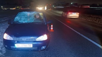 На Львівщині у ДТП на трасі «Київ-Чоп» загинув пішохід