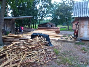 На пилорамі Львівщини було знайдено нечіпований кругляк (фото, відео)